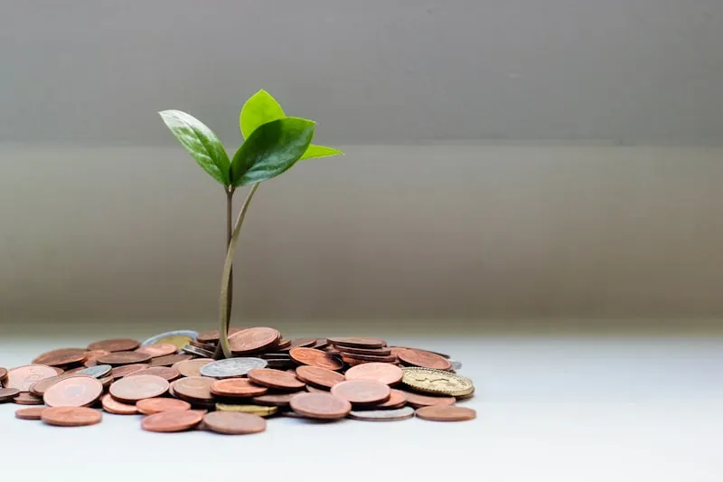 Seedling growing from a pile of coins, representing a self-employed borrower building a deposit